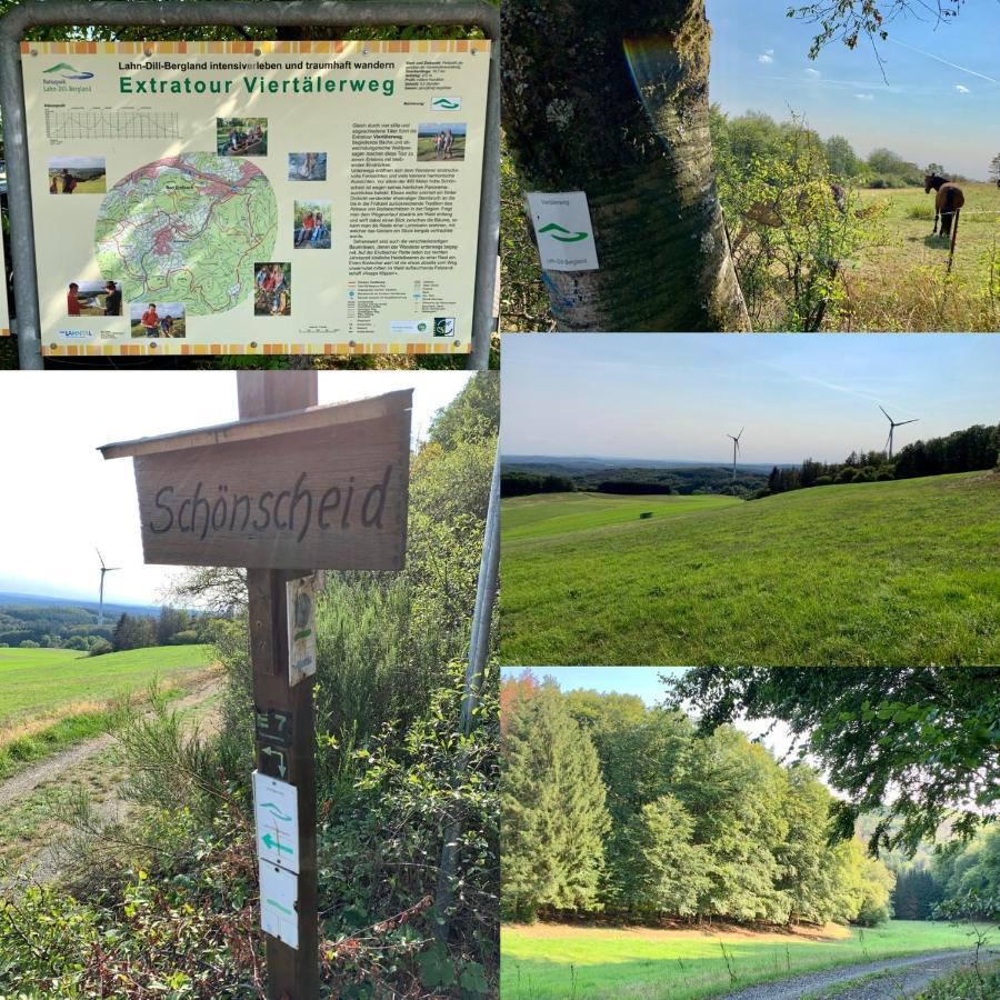 Apartmenthaus Ruhezeit Bad Endbach Exteriér fotografie