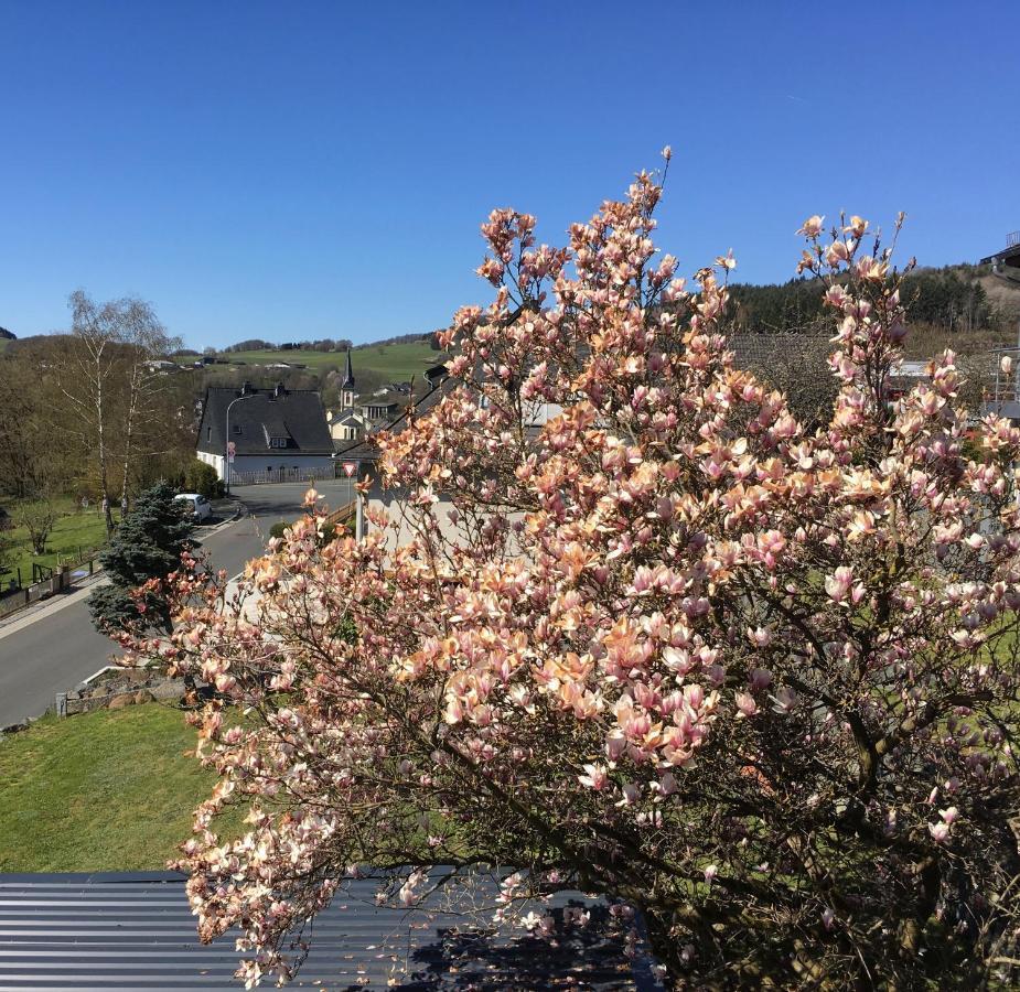 Apartmenthaus Ruhezeit Bad Endbach Exteriér fotografie